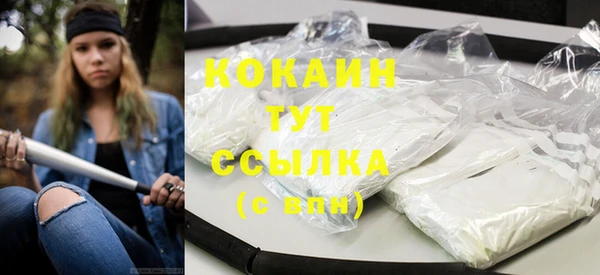 тгк Алексин