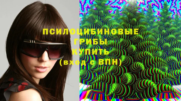 крисы Алзамай