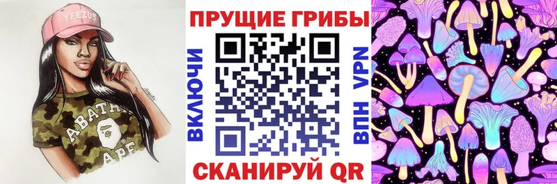 Псилоцибиновые грибы прущие грибы  как найти наркотики  Пыталово 